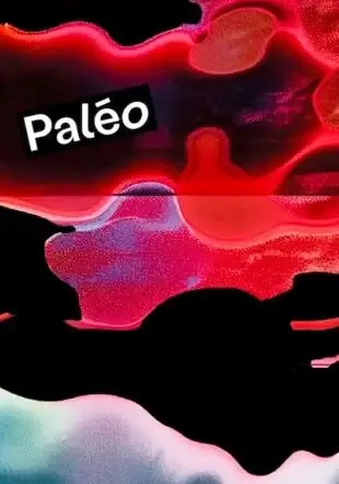 affiche paleo festival